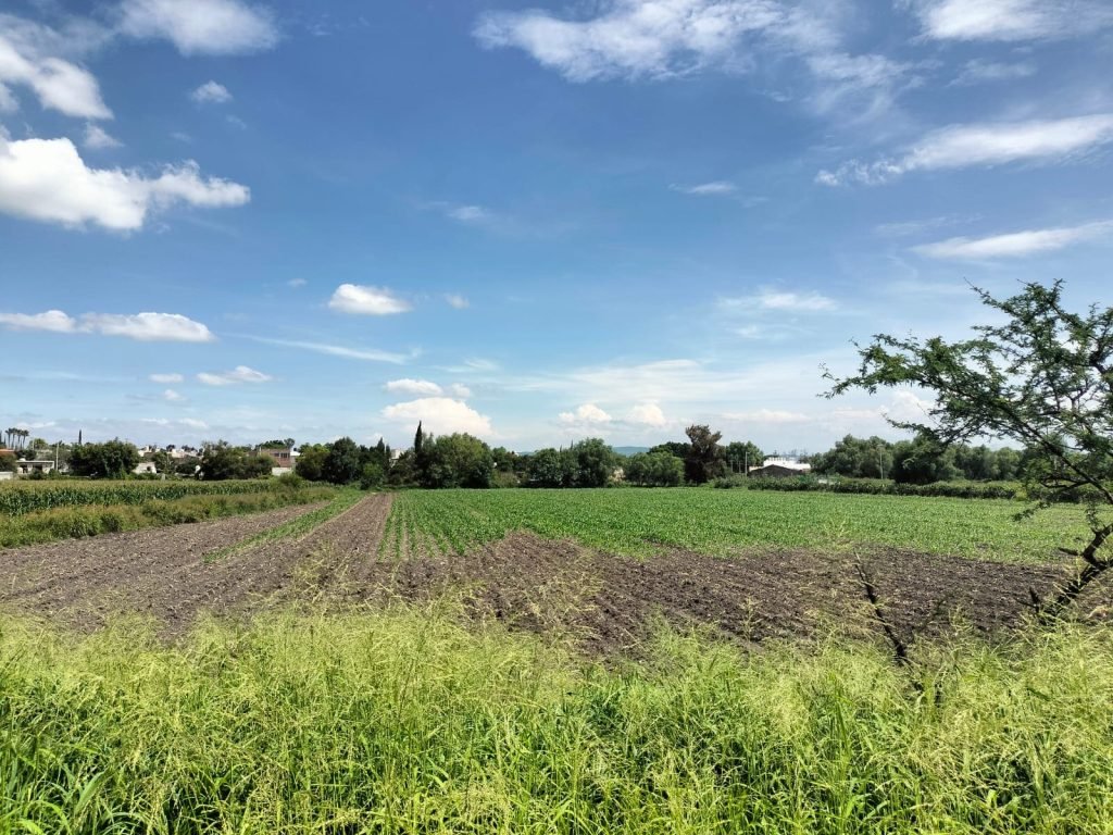 Terreno escriturado en venta (7)